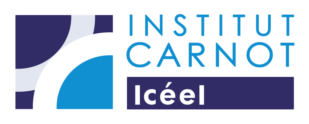 Institut Carnot Iceel