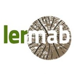 Logo du LERMAB